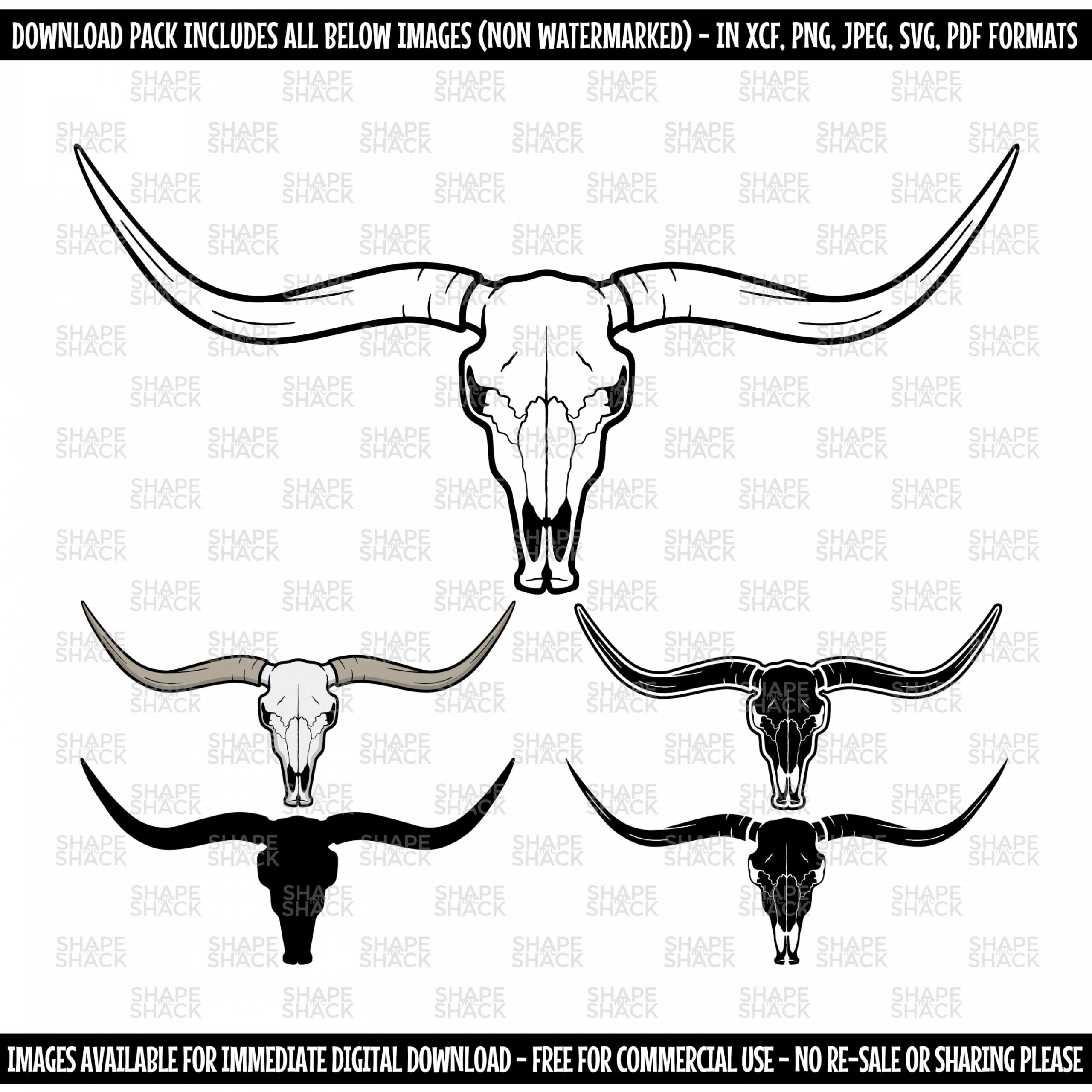 Longhorn Skull Cow Head Bull Cattle Skeleton Horns Clipart Symbol