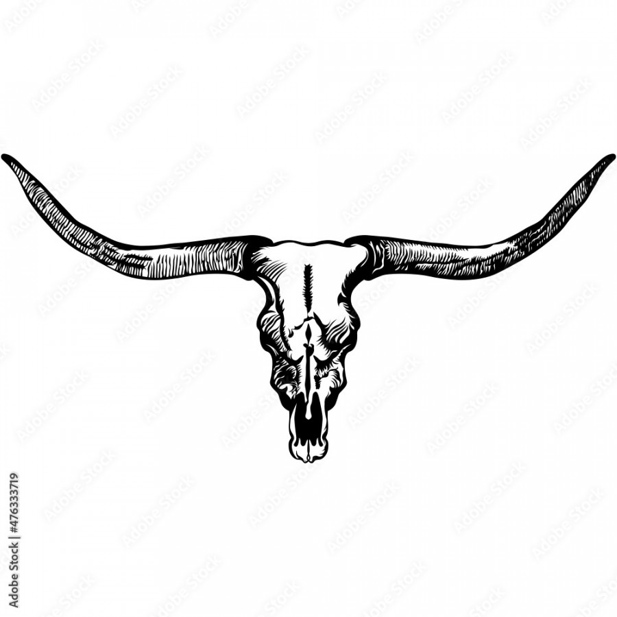 Longhorn skull SVG design, bull skull, cow skull, farmhouse decor