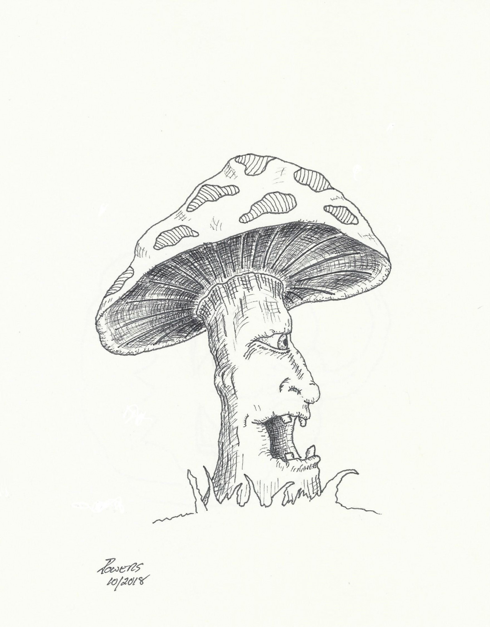 Magic Mushroom