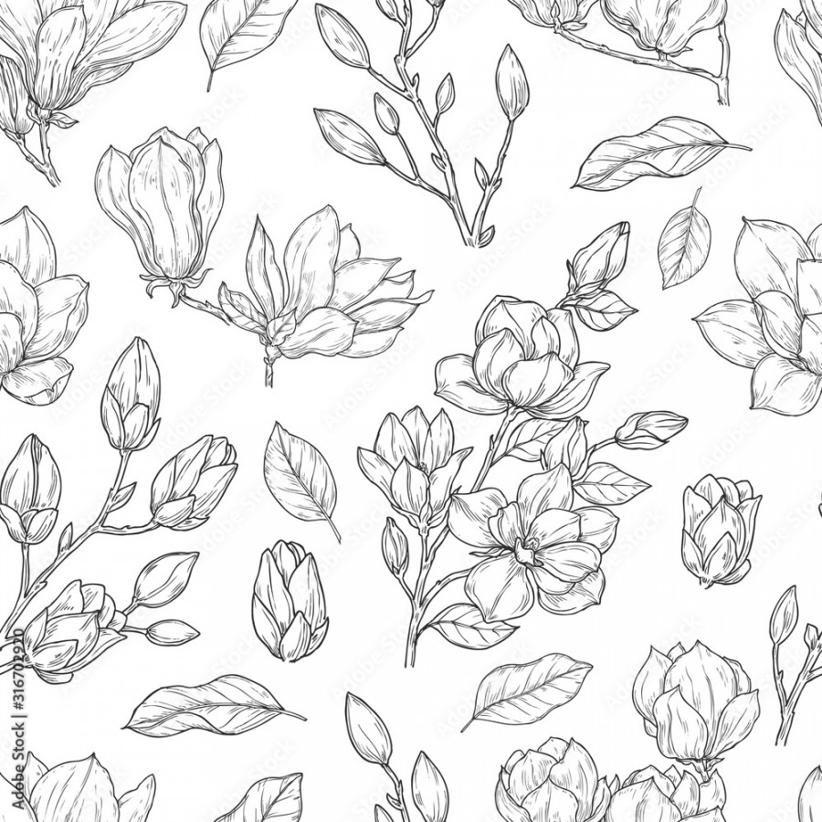 Magnolia pattern. Sketch flower ornate seamless texture