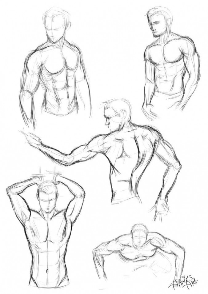 Male body drawing, Human body art, Anatomy sketches