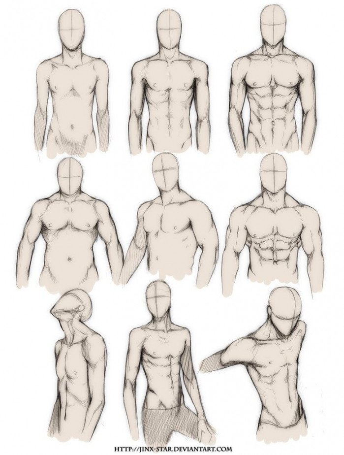 Male body types  Chicas dibujos, Arte de anatomía humana, Dibujos