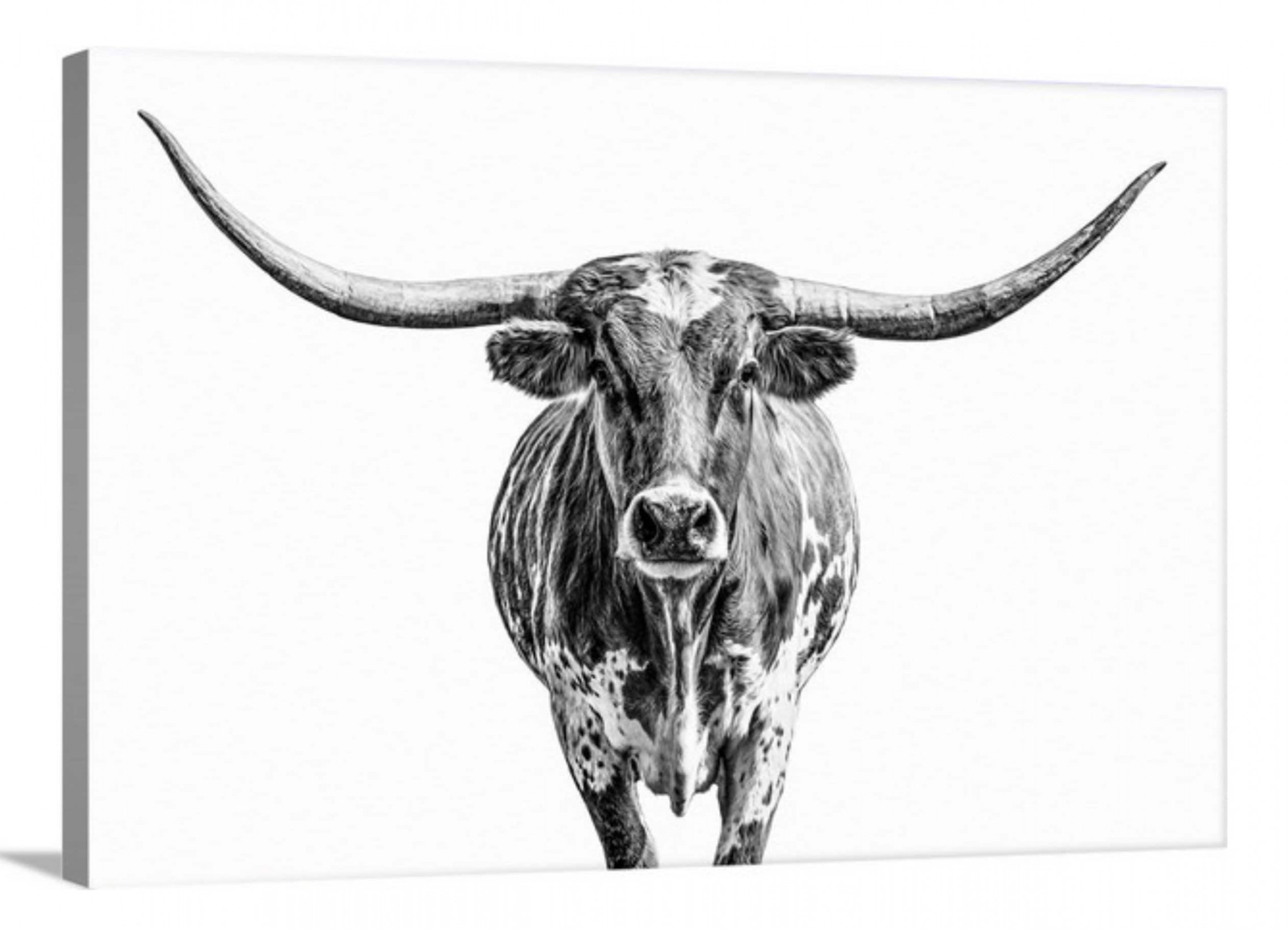 Minimalist Texas longhorn cow canvas photo print. Modern - Etsy