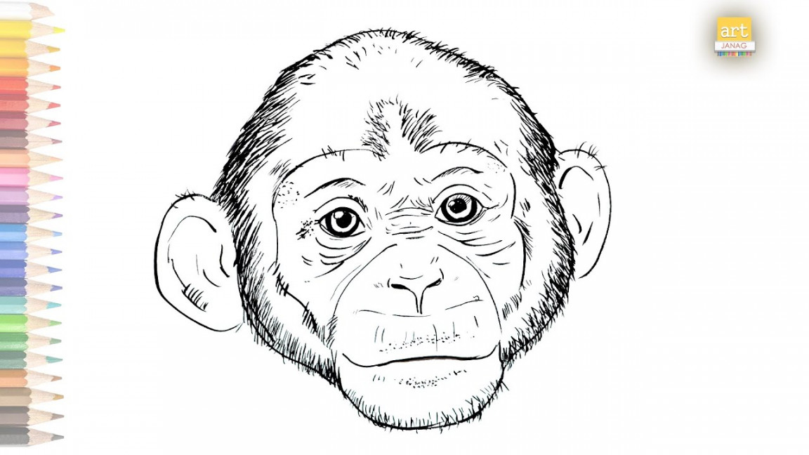 Monkey face drawing / How to draw A Monkey drawing step by step / #artjanag