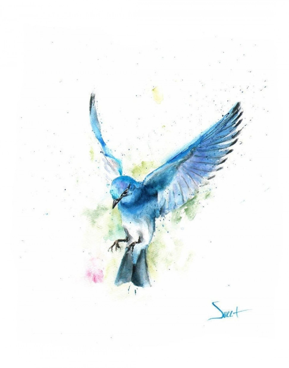 Mountain Bluebird im Flug Druck Aquarell Vogel Malerei Art Decor von Eric  Sweet - Etsy