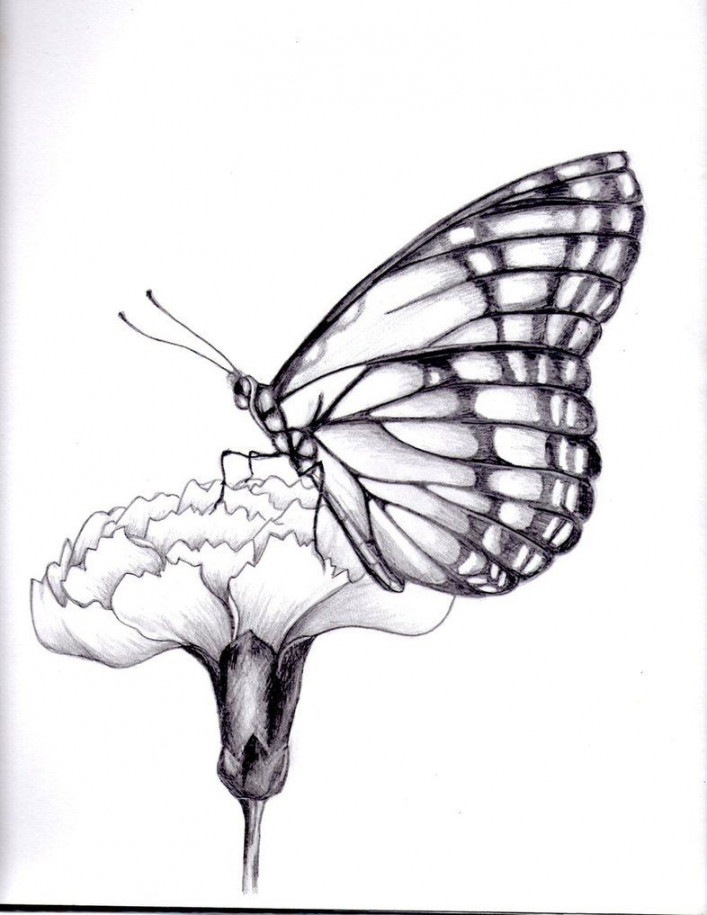 my drawing of a butterfly