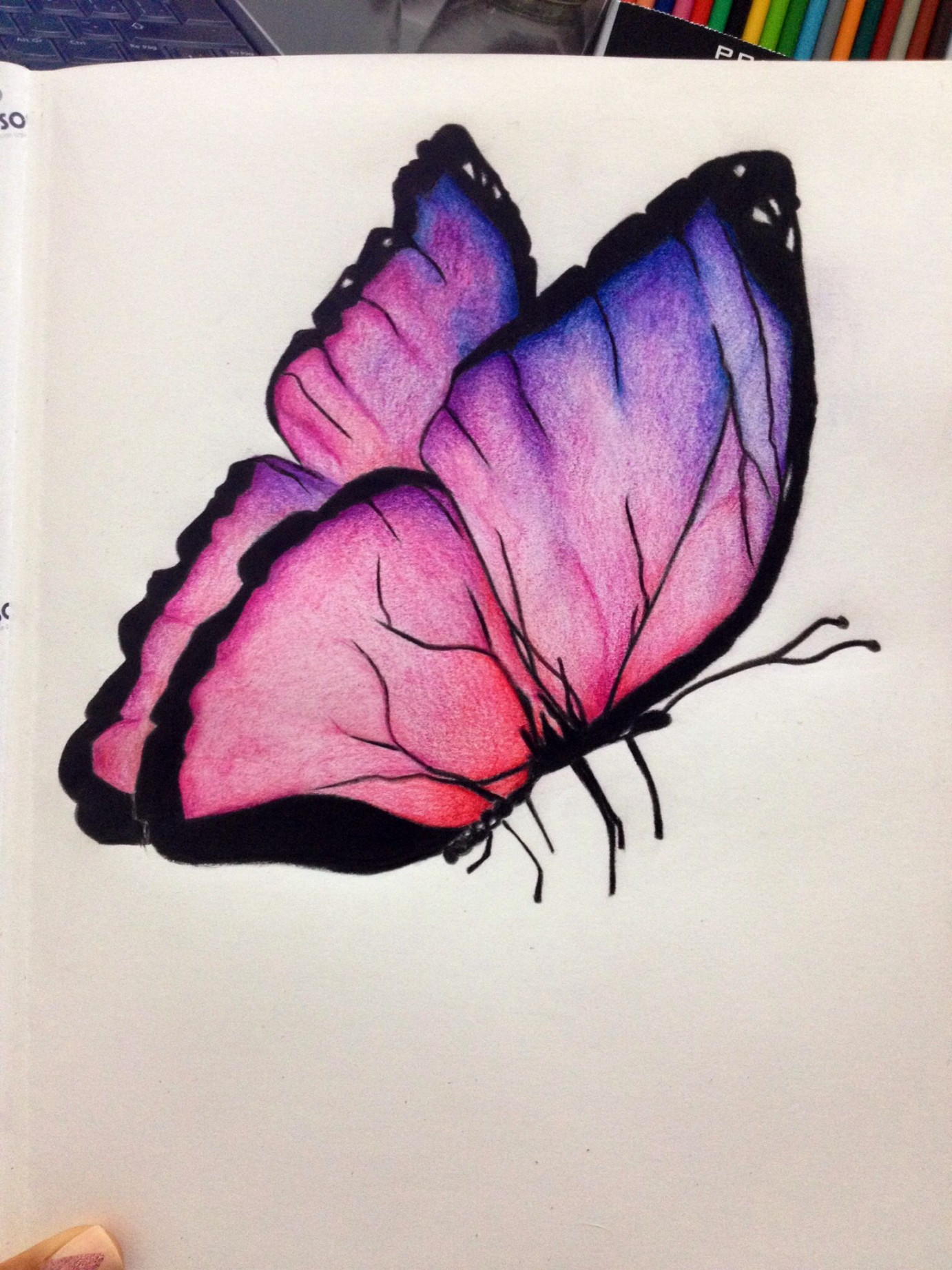 My first butterfly  Butterfly drawing, Butterfly art drawing