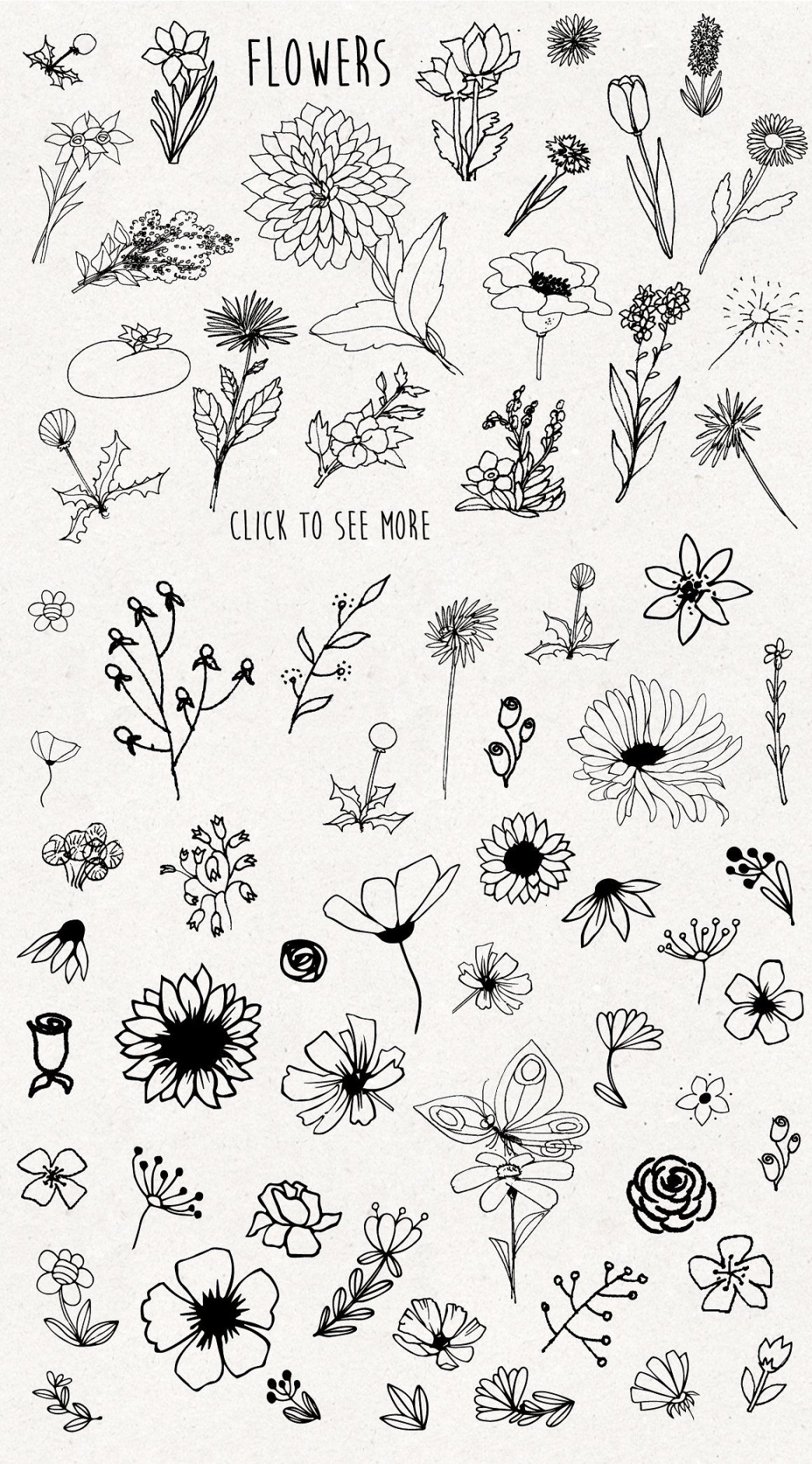 Only flowers !  Flower drawing, Flower sketches, Floral drawing