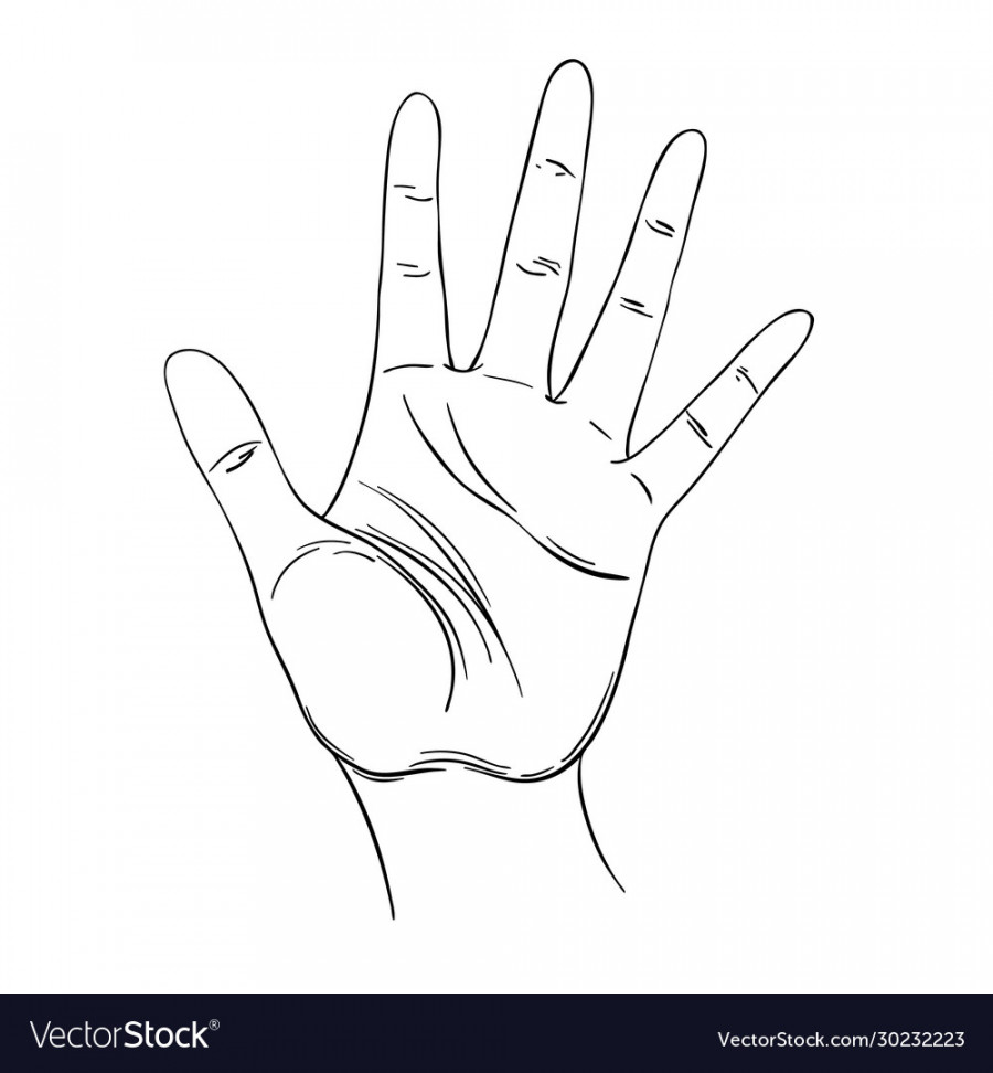 Open hand human palm drawn Royalty Free Vector Image