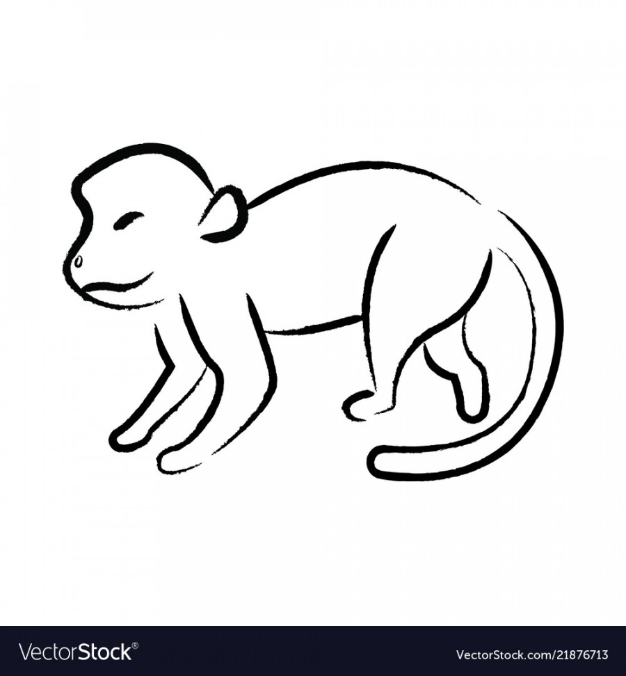 Outline draw monkey Royalty Free Vector Image - VectorStock