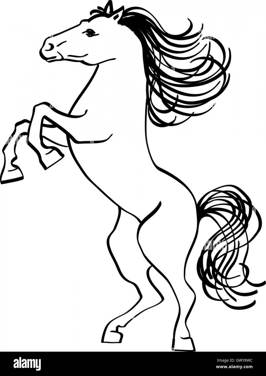 Outline drawing of a horse, isolated on a white background Stock