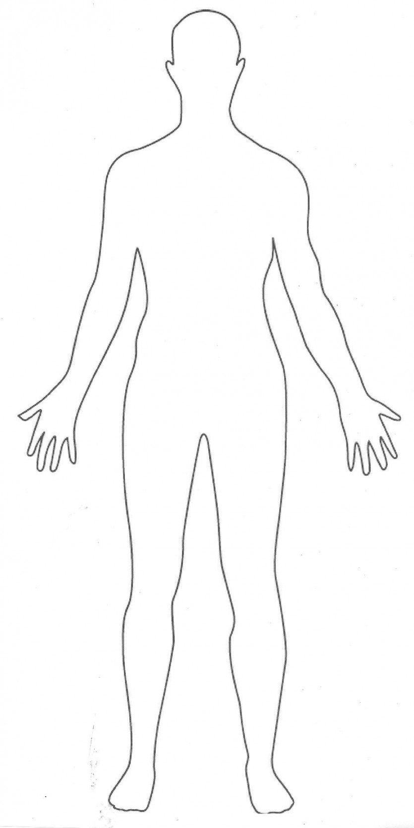 outline of human body  Body template, Human body drawing, Body