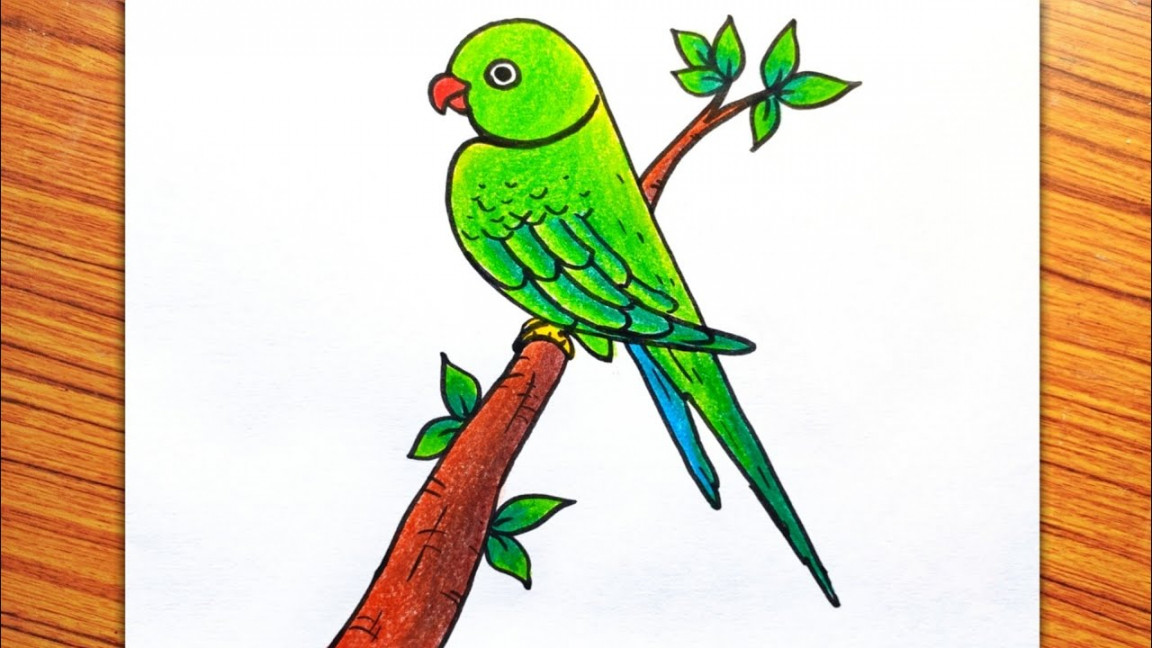 Parrot Drawing Easy, Parrot on Tree Drawing, How to Draw a Bird, Bird  Drawing