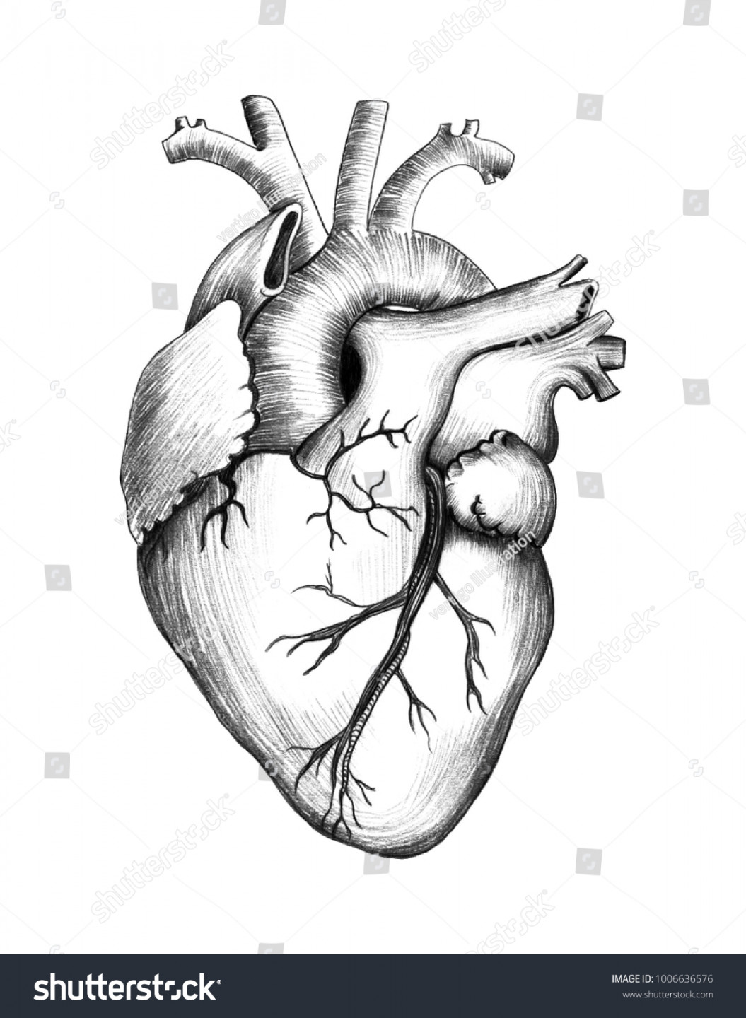 Pencil Drawing Heart Realistic Illustration Stock Illustration