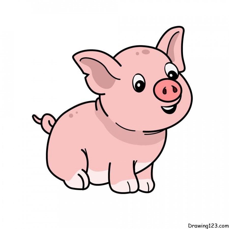 Pig Drawing Tutorial - How to draw Pig step by step