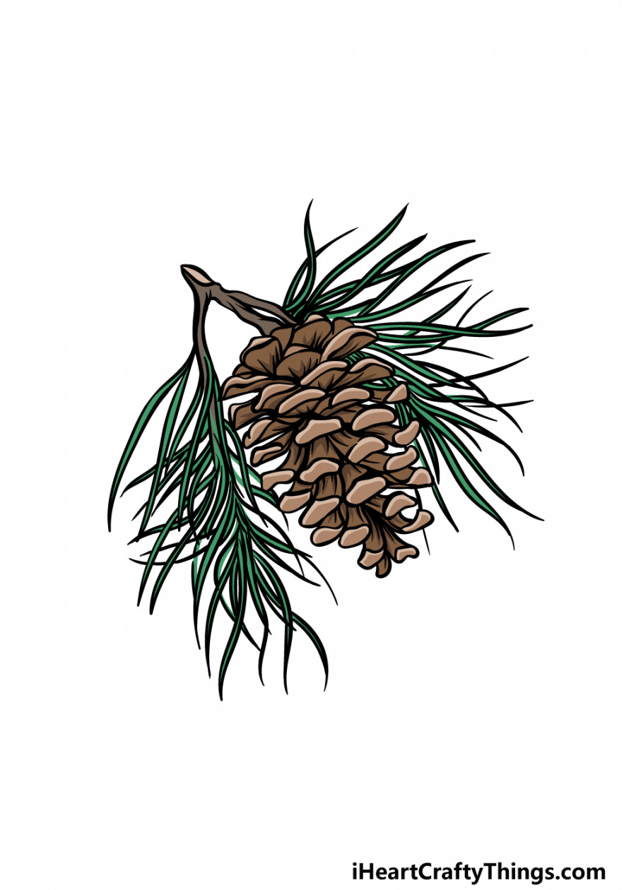 Pinecone Drawing - How To Draw A Pinecone Step By Step