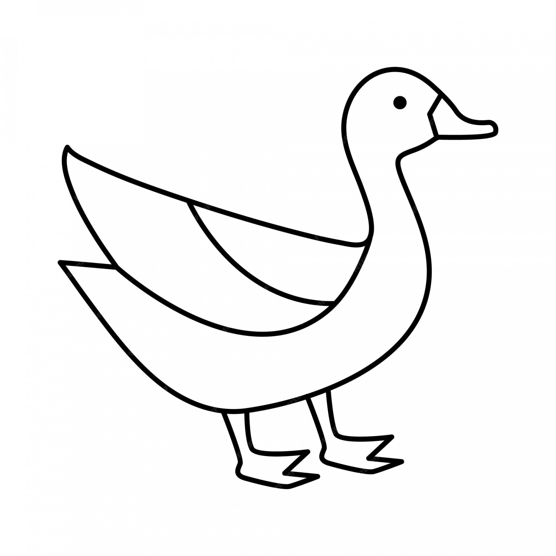 Premium Vector  Duck outline simple icon duck bird single line