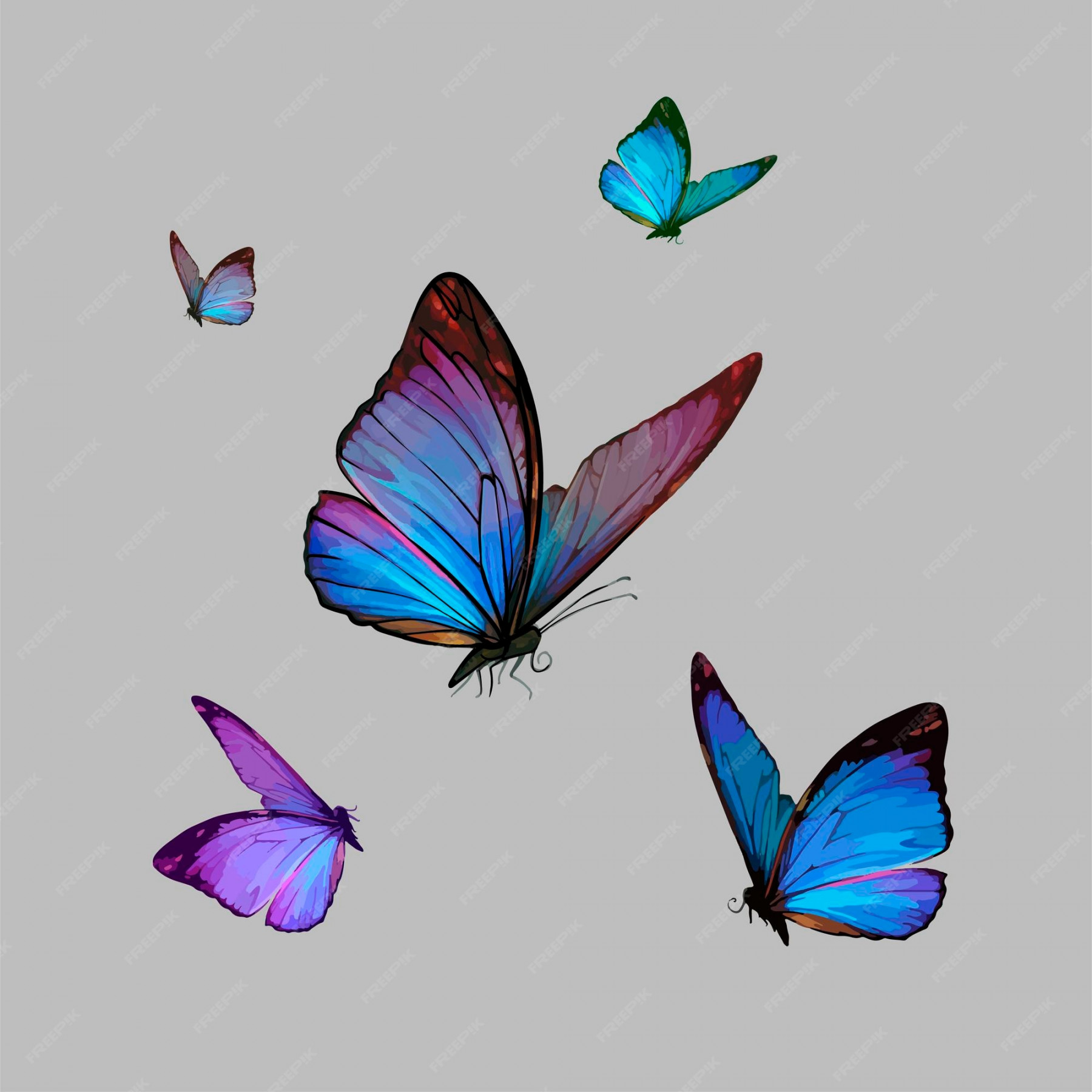 Premium Vector  Vector realistic drawing of beautiful butterfly