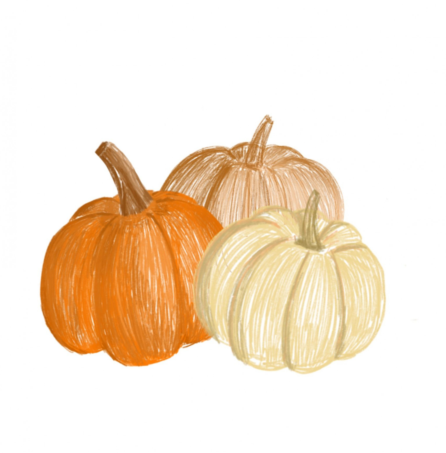 Pumpkins  Fall drawings, Halloween digital art, Pumpkin art