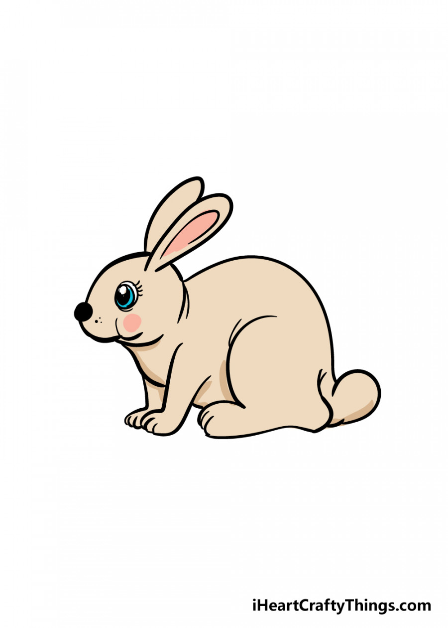 Rabbit Drawing - How To Draw A Rabbit Step By Step