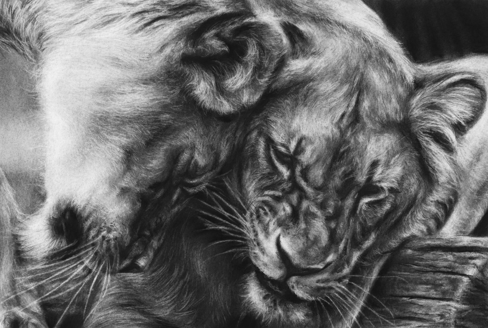 Realistic Drawing with Charcoal - Strathmore Artist Papers