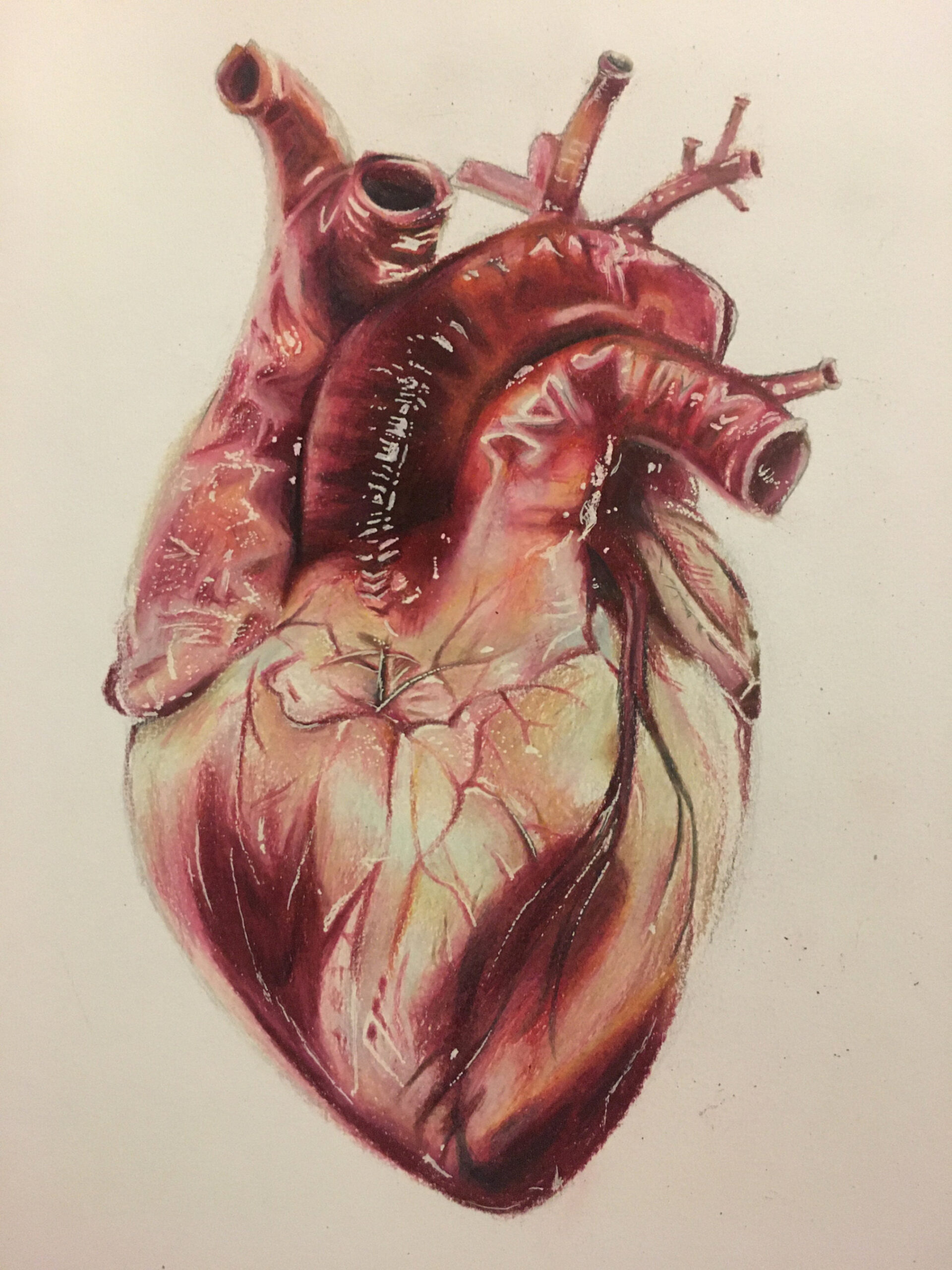 Realistic Heart Drawing