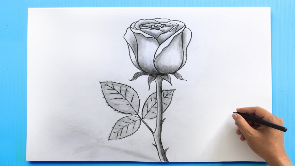 ROSE Drawing Easy 🌹 How to Draw a Rose step by step