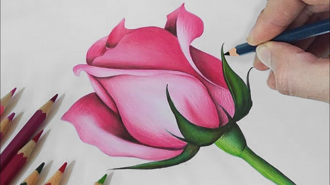 Rose Drawing: How To Draw a ROSE with Colour Pencils  Step-By-Step Tutorial