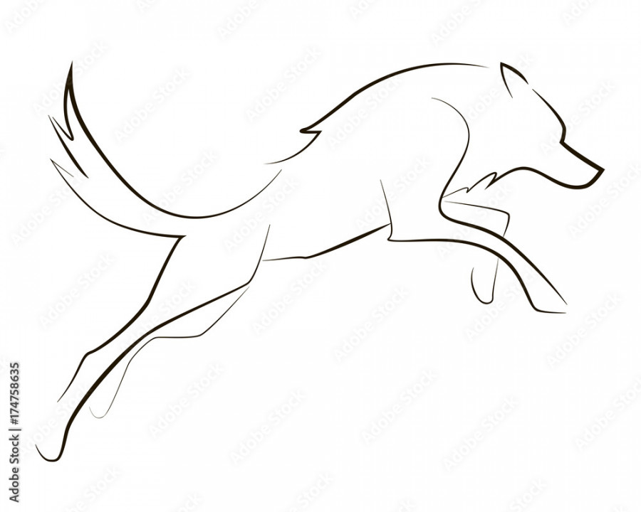 Running black line wolf on white background