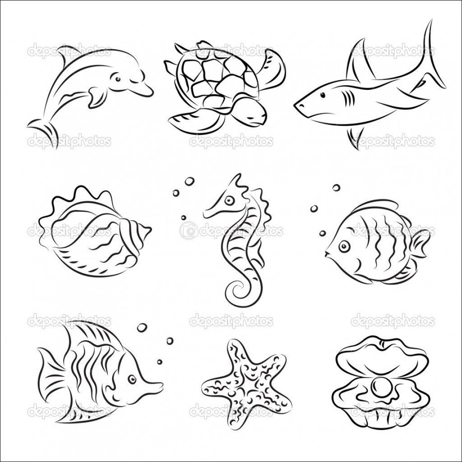 Sea creatures drawing, Sea drawing, Easy animal drawings