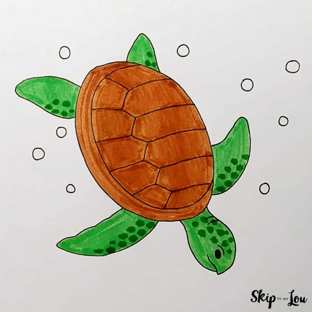 Sea Turtle Drawing  Skip To My Lou