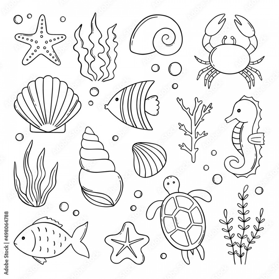 Set of sea life doodle