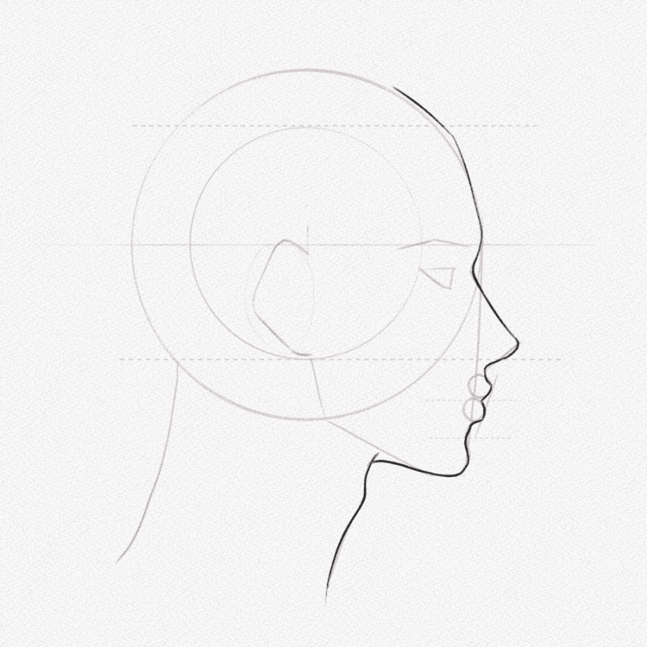 Side Profile Drawing – A Step-by-Step Tutorial – Artlex