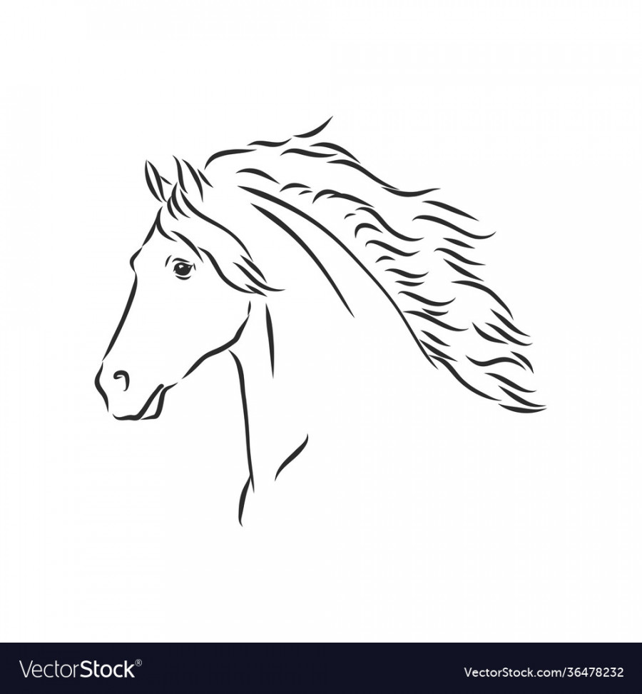 Silhouette a horse beautiful sketch Royalty Free Vector