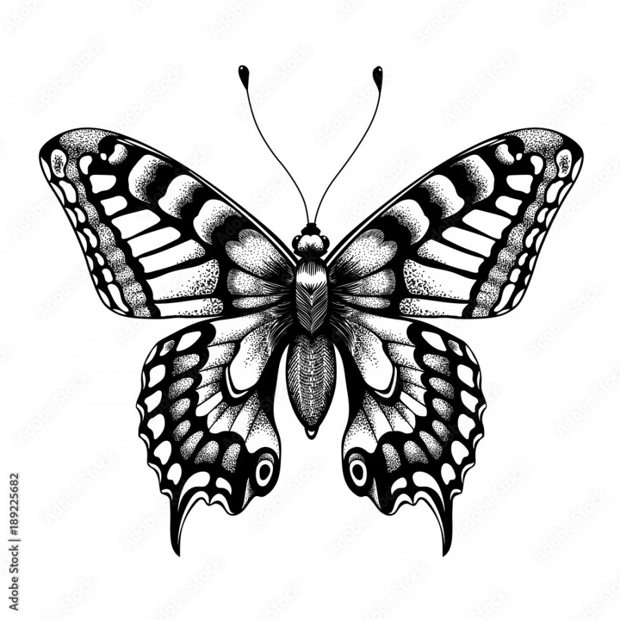 Silhouette of butterfly. Tattoo butterfly