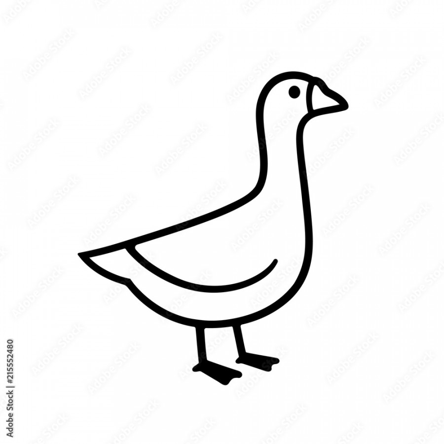 Simple goose drawing Stock-Vektorgrafik  Adobe Stock