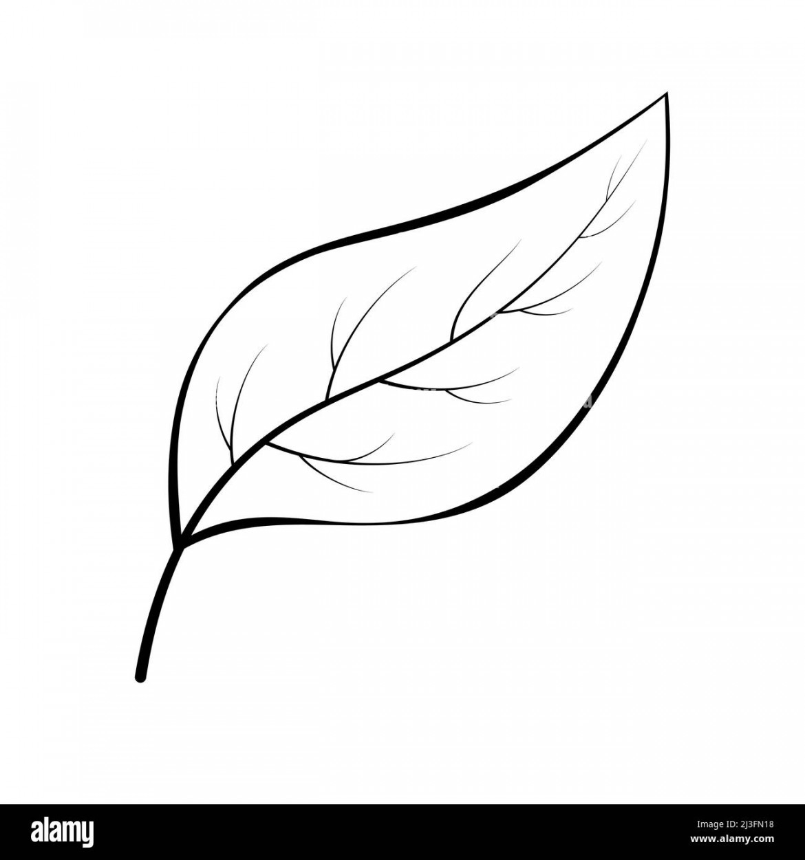 Simple plant leaf line art