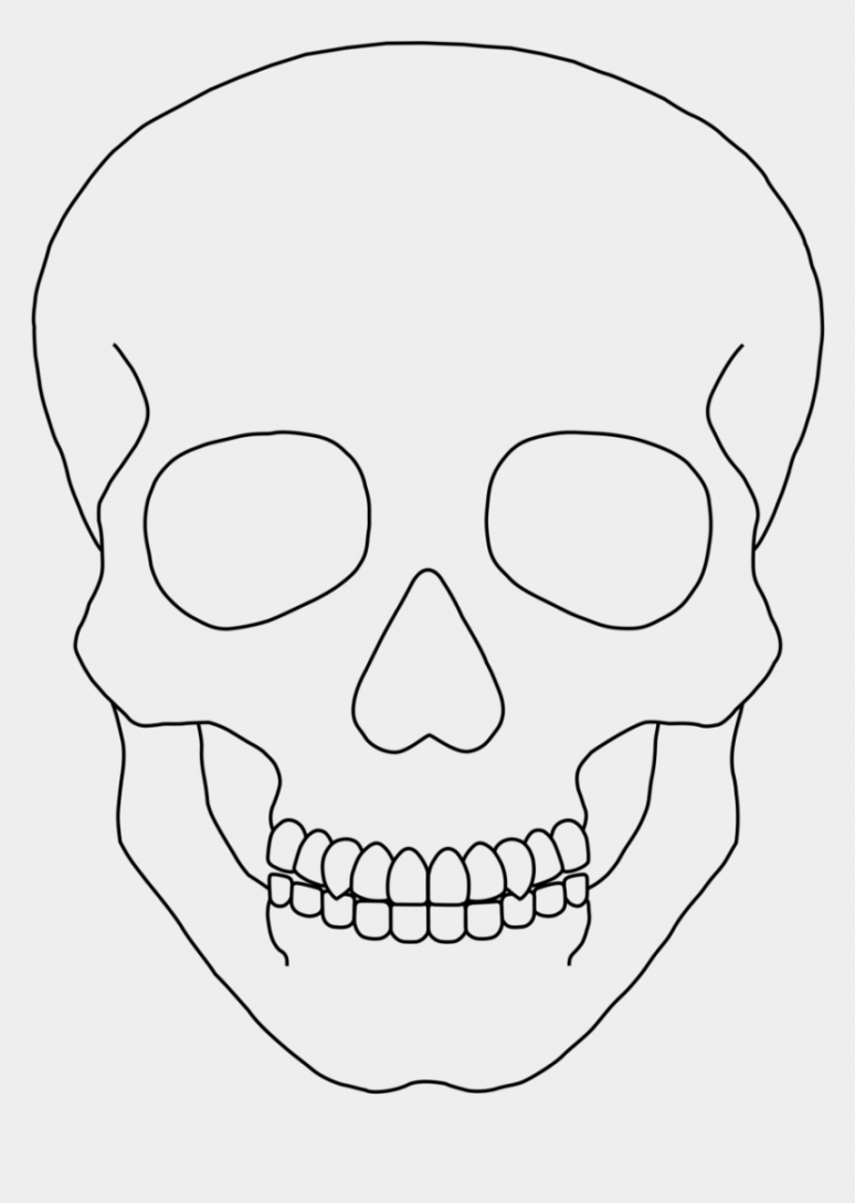 Skull Outline Clip Art - Simple Human Skull Drawing is popular png