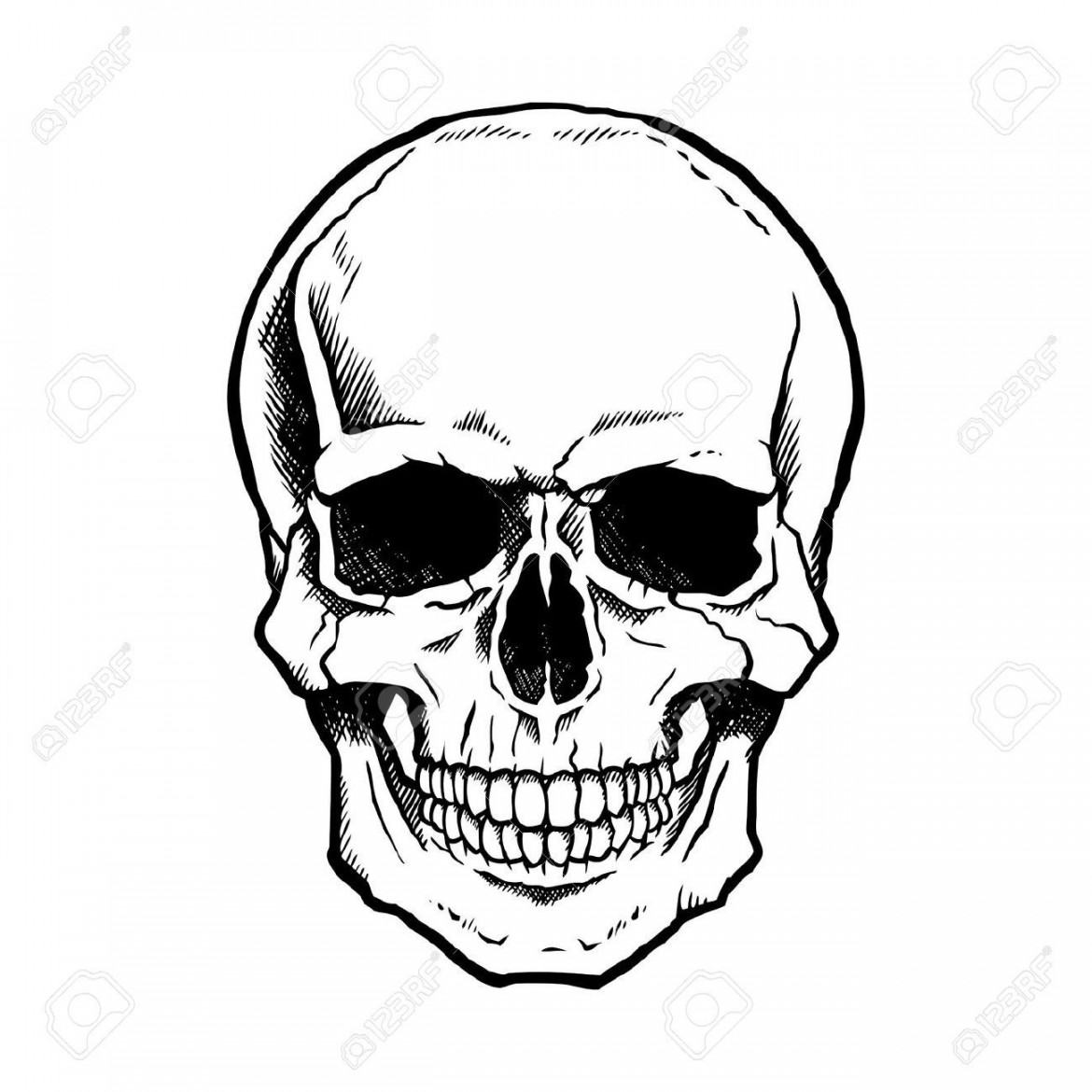 Skull Stock Photos and Images - RF  Croquis de tête de mort