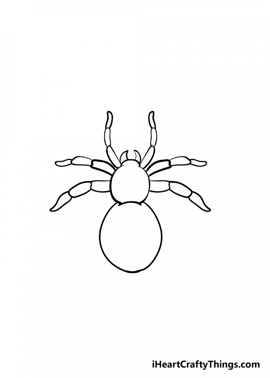 Spider Drawing - How To Draw A Spider Step By Step