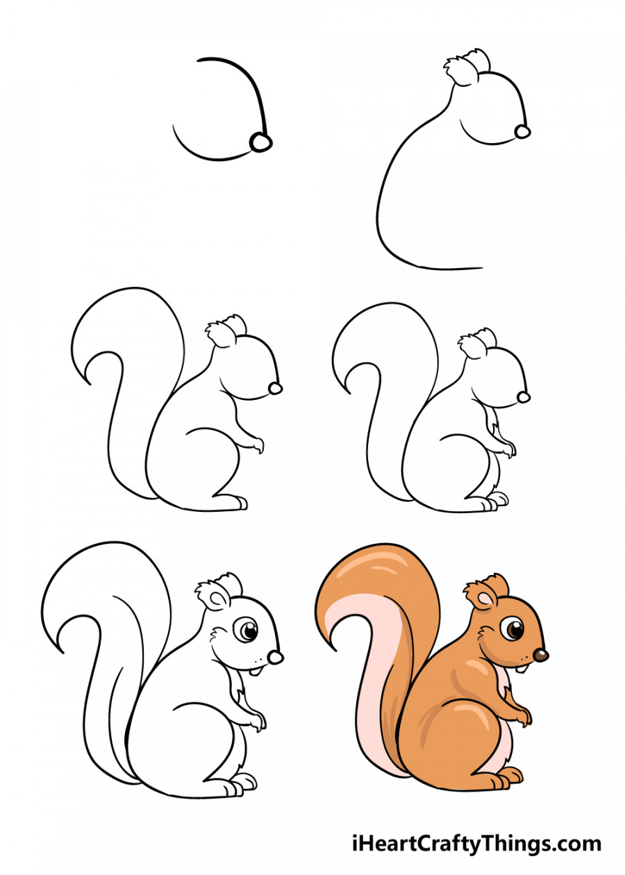 Squirrel Drawing - How To Draw A Squirrel Step By Step