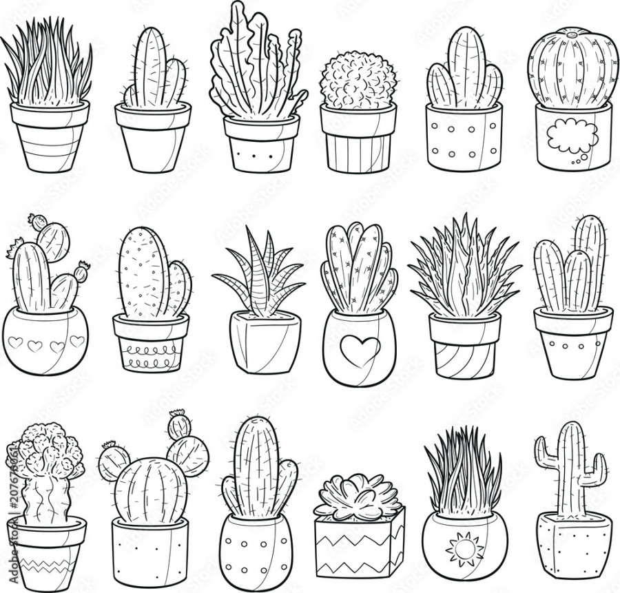 Succulent Cactus Plant Decor Doodle Icon Hand Draw Line Art Stock