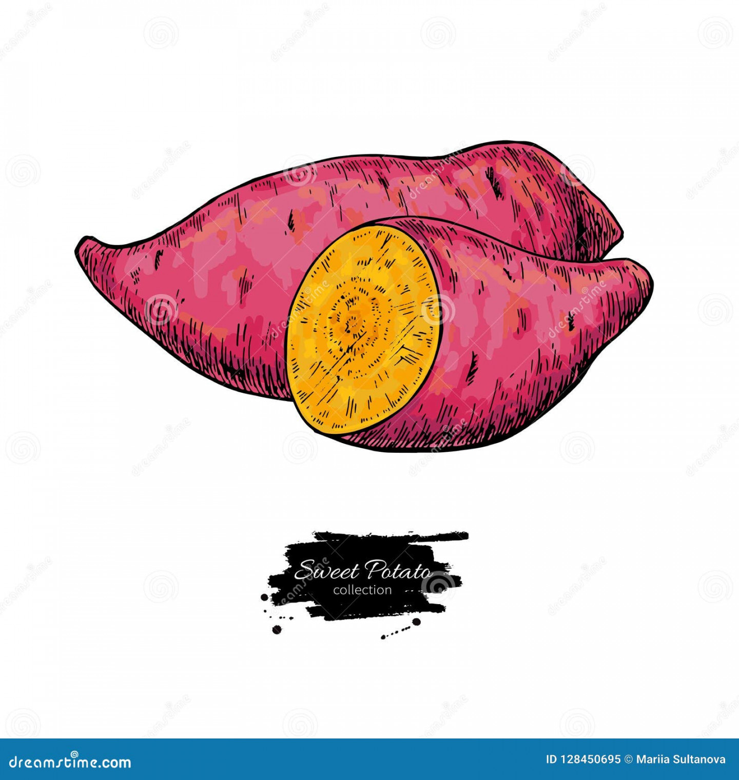 Sweet Potato Hand Drawn Vector Illustration