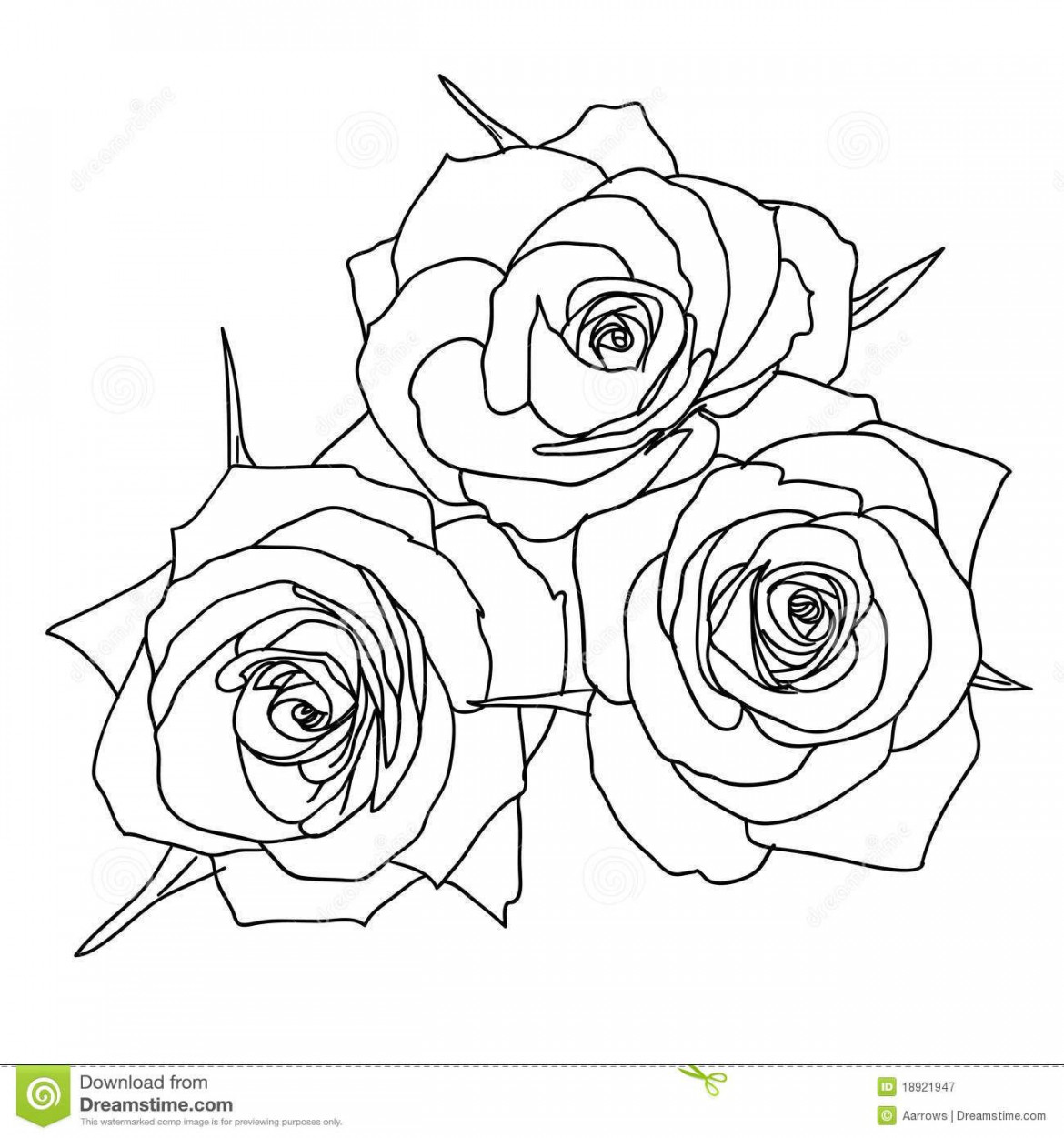 Three Roses in hand drawn style  How to draw hands, Rose in hand