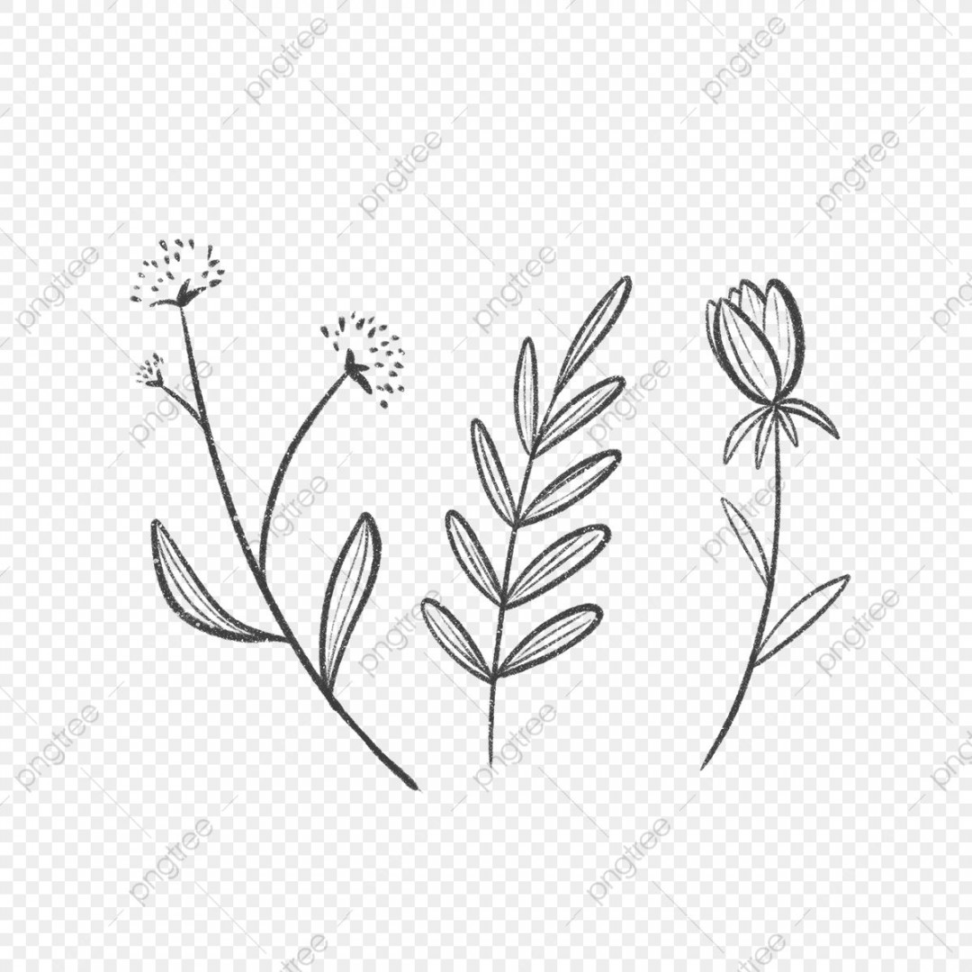 Three Simple Lined Leaves And Flowers, Flower Drawing, Leaves