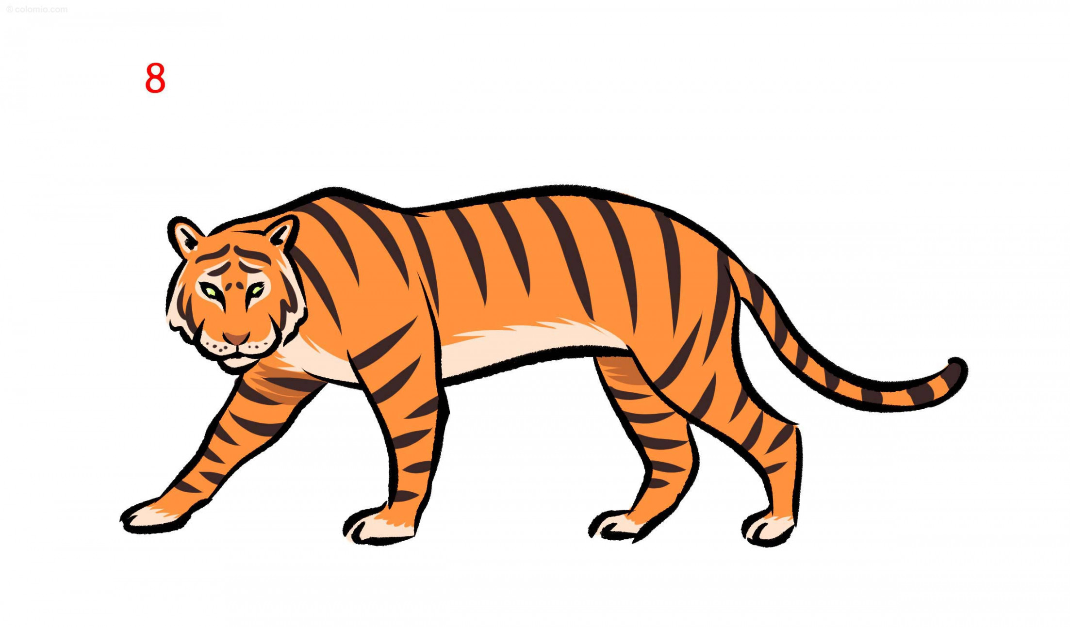 Tiger Drawing Ideas ➤ How to draw a Tiger