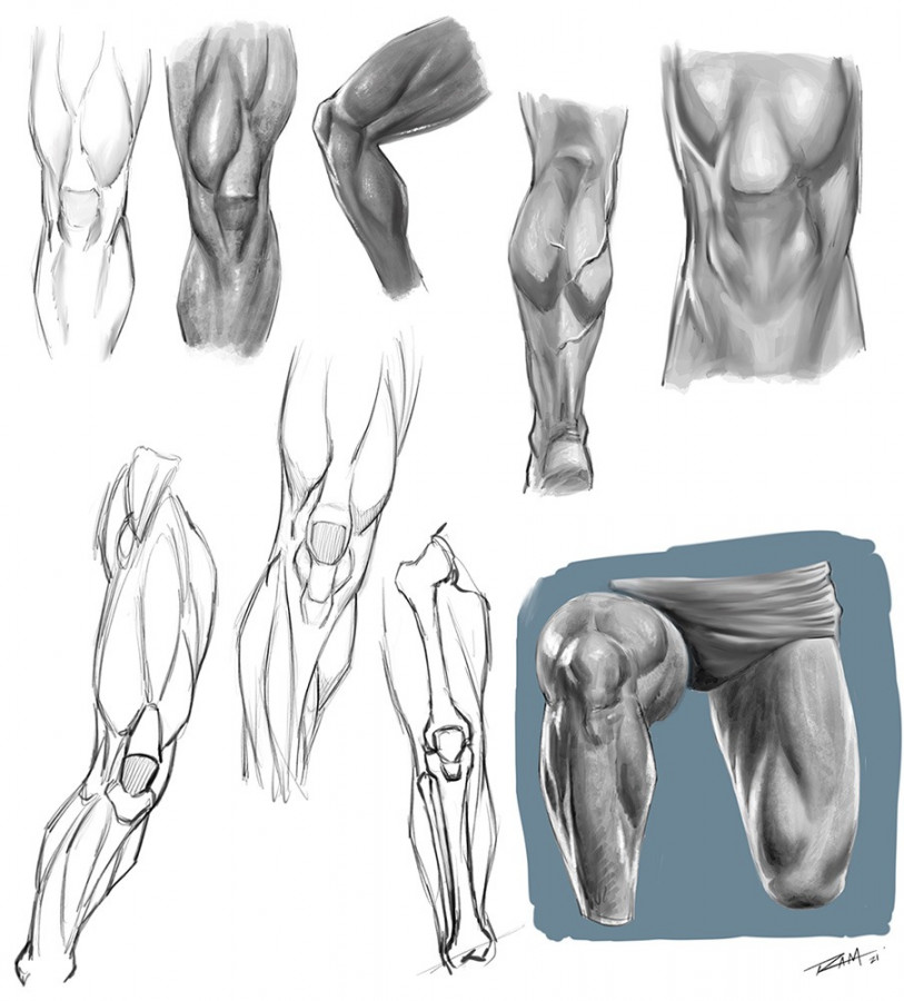 Tips on How to Draw Leg Anatomy -Tutorial - Ram Studios Comics