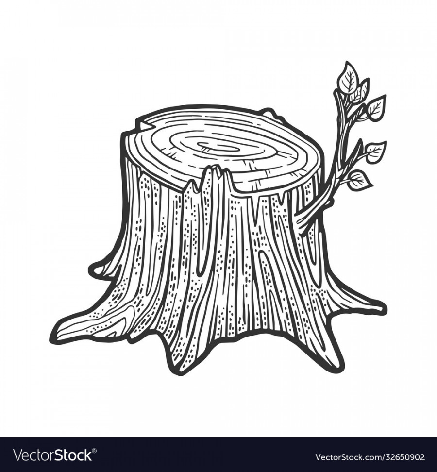 Tree stump with sprout sketch Royalty Free Vector Image