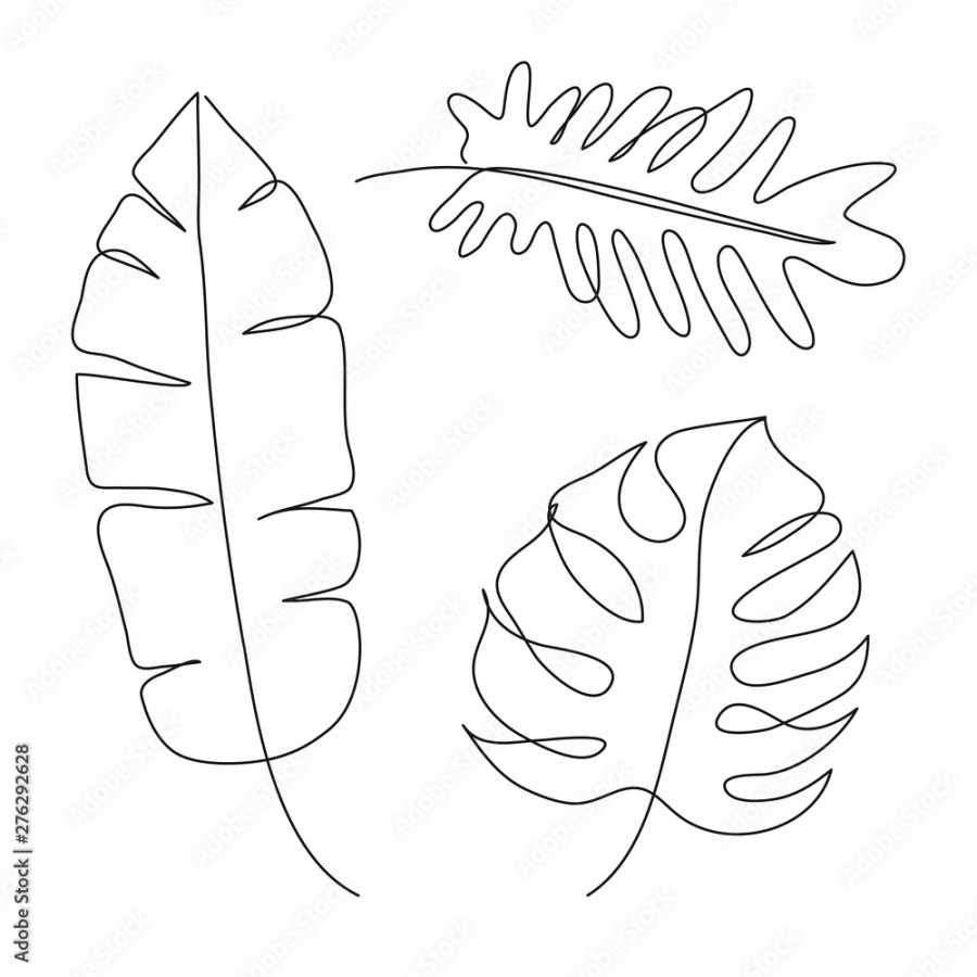 Tropical leaves line drawing art. Continuous line