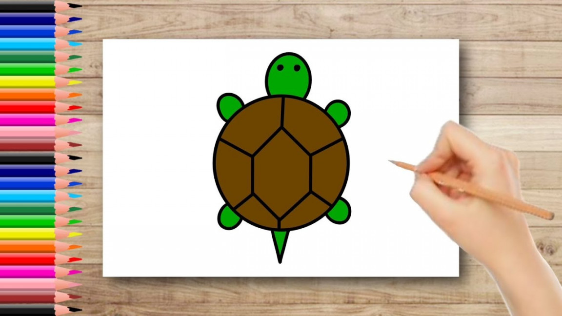 Turtle Drawing Easy  How To Draw Turtle For Kids